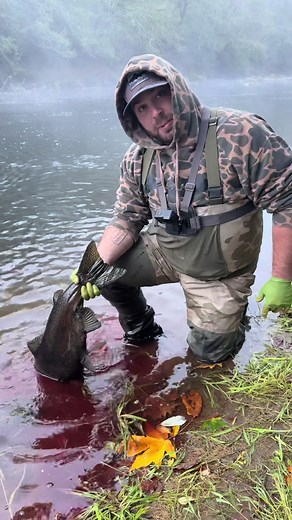 How to Bonk and Bleed a Salmon Step-by-Step Guide