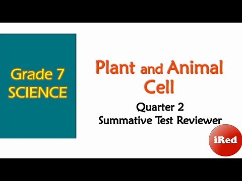 Grade 7 Science | Quarter 2 | CELL | Summative Test Reviewer