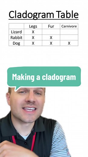 Making Cladograms #biology #cladogram #science #apbiology #evolution #taxonomy #classificstion