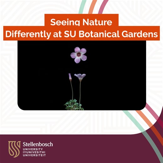 4.3K views · 17 reactions | From microscopes to scanners — meet...