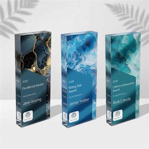 Personalized Clear Award Plaque | Trophy Award | Corporate Trophy Award | Custom Award | Customized Job Gift - Etsy