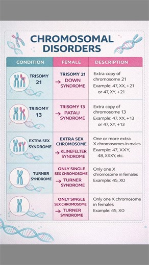 chromosome disorder | Down syndrome | patau syndrome | klinfiltre syndrome