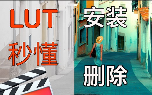 【全网最简单】1分钟搞懂如何在FCPX上安装、删除LUT（Cube以及插件)｜Final Cut Pro X 小分享