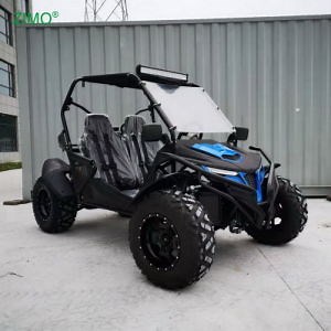 [Hot Item] 2025 Professional Street Legal Dune Buggy for Sale