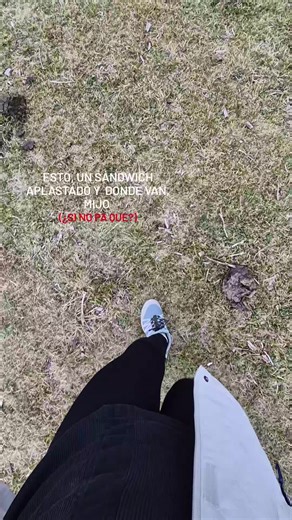 #fyp #dondevan #bosque