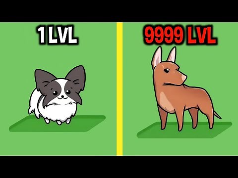 MAX LEVEL in Merge Dogs Gameplay