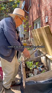 180K views · 4.1K reactions | Grandpa’s Garden Hack You Need  #garden #plants #gardening #italian #oldschool #trending #educational #viral #lifehacks #diy #homemade #reels #reel | The Real Spicy Nonna | Facebook