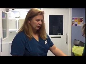 KittySuperVest, How to put a cat vest or cat recovery suit on your cat.