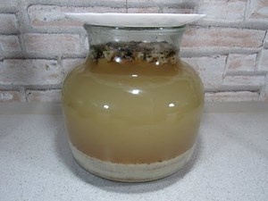 Cum preparau borș în casă bunicile noastre. Rețeta care îți face ciorba bună