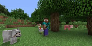 Minecraft gamer builds virtual map of downtown Toronto