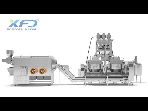 Fully Automatic Popcorn Production and Packing Line Preformed Bag Packing Machine