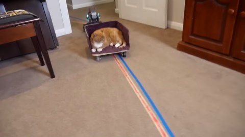 Watch man build his own robot butler at home