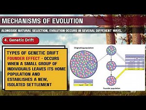 Mechanisms of Evolution