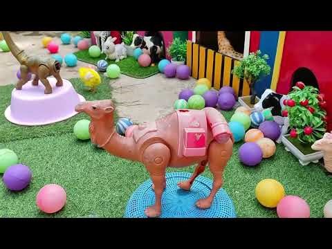 The Most Colorful Chicks You’ll Ever See! 🌈