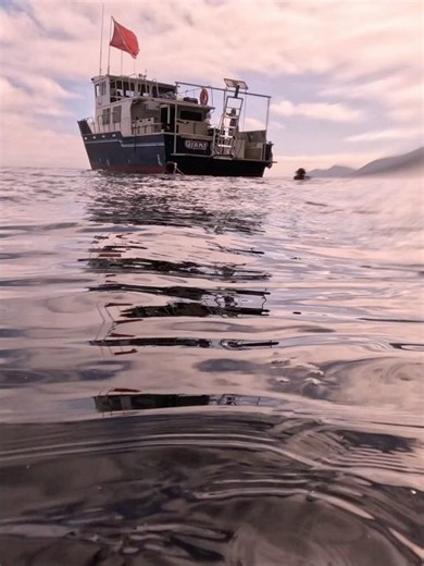 Preparing to Dive The Kelp Forest #scubadiving #catalinaisland