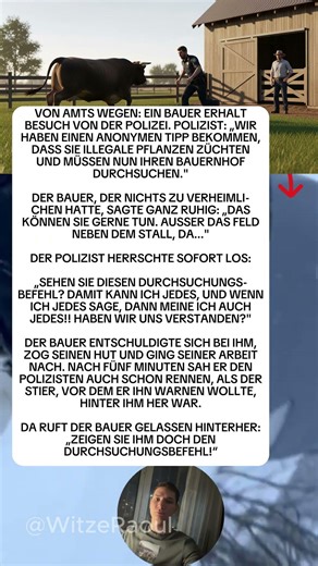 Der Befehl ist gegen den Stier nutzlos 😂🐂