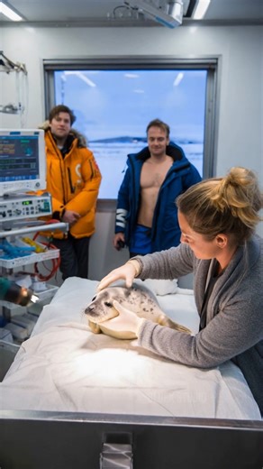 Heartwarming Rescue As Woman Saves Fallen Baby Bird And Helps It Fly Again 🎬This video was produced by Network Media and Blue-X Studio | Artificially Wild