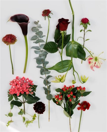 Nicolai Bergmann Flowers & Design on Reels