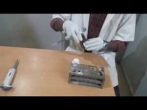 Kidney Function Test (KFT)