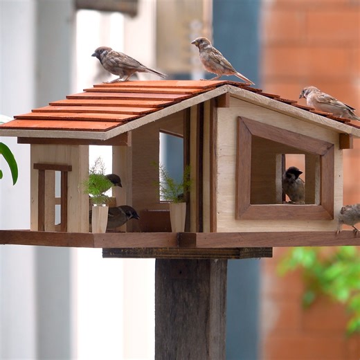 DIY Modern Wooden Bird Feeder | Woodworking Tools TV