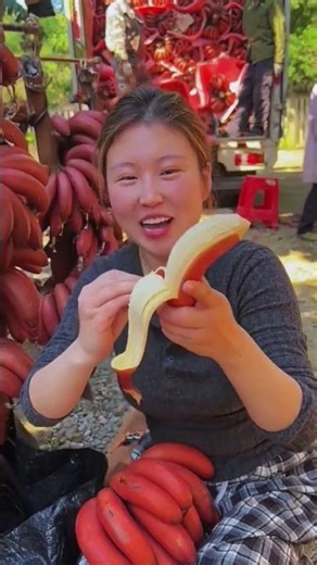 It takes 3 years to grow this Red Beauty Banana #fruits #harvesting #farmfresh #farm #fruitgarden
