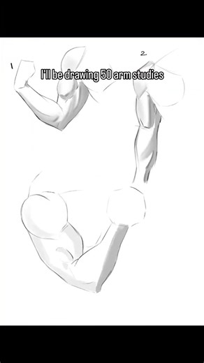 77/100 of learning to draw #art #sketch #artstudy #anatomysketch #proko #beginnerart #learningtodraw