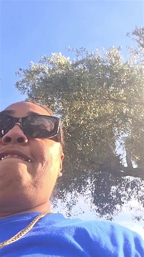 Charlotte Hall on Reels