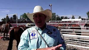 59K views · 2.6K reactions | Oklahoman Mike Johnson is Chute 9 royalty at Cheyenne Frontier Days. He won his first of two tie-down roping titles a quarter century ago and Johnson has entered 'The Daddy' for nearly four decades. He's not going to many rodeos these days but the man who holds the NFR record for appearances in his event (23) was back in Cheyenne to easily advance out of the tie-down qualifying round with a solid 12.4 second run on Monday. | Rodeo Life | Facebook