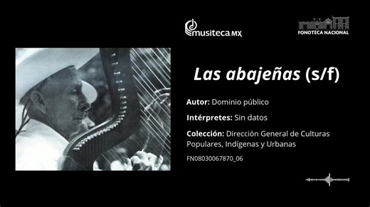 La chilena es un género musical que tiene sus raíces en la cueca chilena. Su introducción en México se remonta a inicios del siglo XIX con el arribo de marinos chilenos al puerto de Acapulco para apoyar la causa insurgente. Se dice que, al llegar, encontraron consumada la Independencia y se sumaron a la celebración con su música, que pronto fue acogida por las comunidades costeñas y difundida a lo largo del litoral, donde adquirió rasgos propios. La chilena que estamos escuchando fue grabada en 