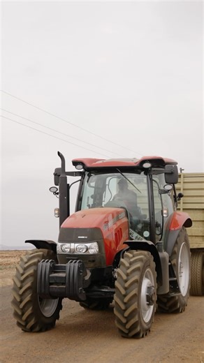 10K reactions · 24 shares | #CaseIHAtWork The Maxxum 140 truly shows its potential in the field. With its powerful performance and operator-focused design, it is one of our customers’ top choices. Click here to contact the closest distributor to get a quote : https://ow.ly/y52G50SjJrZ | CASE IH | Facebook