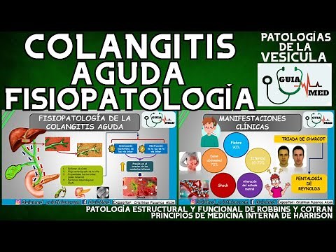 Cholangitis Pathophysiology | GuiaMed