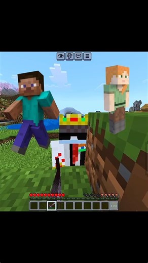 MINECRAFT BEST SKIN ARE HIDDEN IN THIS !!!!
