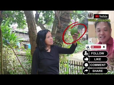 SAYA BERSAMA ISTRI MELAKUKAN HAL INI DI SIANG HARI ‼️ AGAR HIDUP BAHAGIA DI MASA DEPAN BAHAGIA ✅✅
