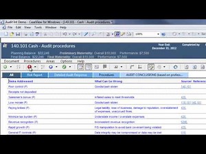 CaseWare Audit: Documenting Identified Risk