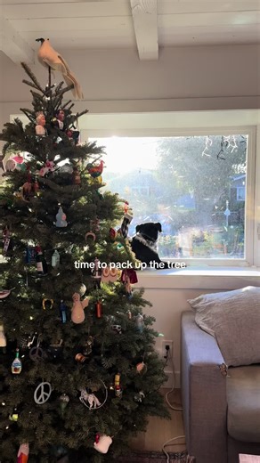 It’s Time…see you next year wacky beautiful ornament collection❤️ #gumtreela #holiday