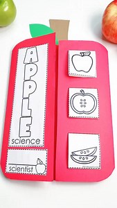 1.2K views |  Bring fall to life in your classroom with hands-on apple science! From crafts to experiments, your 1st and 2nd graders will love learning about the apple life cycle while creating their own interactive book of activities. Perfect for blending science + fun this season! #AppleScience #PrimaryTeachers #1stGradeTeachers #2ndGradeTeachers #FallInTheClassroom #HandsOnLearning #ScienceForKids #teacherlife | Tunstall's Teaching Tidbits | Facebook