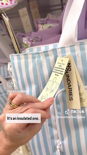 Insulated Cooler Tote Bags Available at Walmart