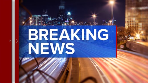 Driver killed in crash involving CTA bus in Heart of Chicago, police say