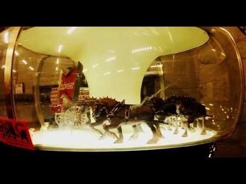 Lot 398a Budweiser Clydesdale Carousel Rotating Light Sign