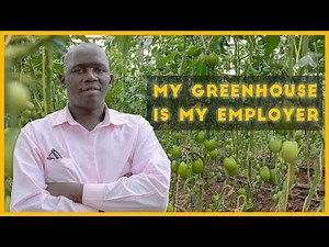 Tomato Greenhouse Farming || Easy Way To Grow Tomatoes || Greenhouse Construction