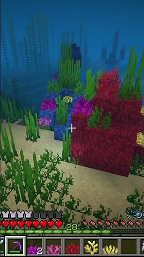 Minecraft: Easiest Way to Farm Infinite Coral and Coral Fans - Tutorial