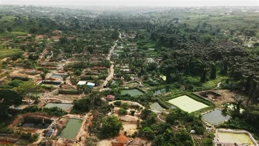 One of Africa's largest catfish farms is situated in Ijebu Ode? 😳😳😳 This is indeed a massive development! 👏 👏 #happeningsinogun #ogunstate #ogun | Happenings in Ogun