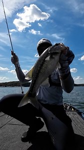 When the graph lights up like this, you know it’s about to happen, and the Core Tackle Scamper Rig seals the deal. | Fish the Moment