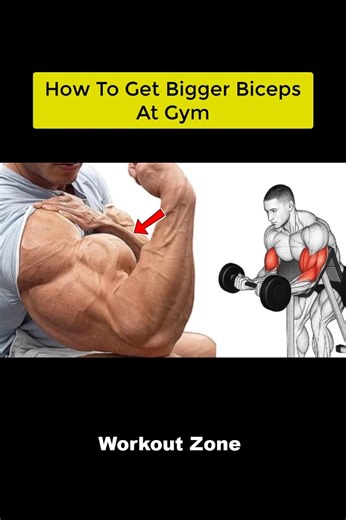 How To Get Bigger Biceps 🔥 #exercise #fitness #workout #fit #gym | Workout Zone