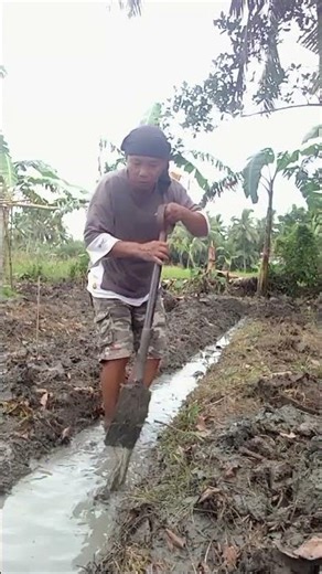 Gawa ng plot sa eggplant 🍆 #buhayfarmers #gardening #foryou