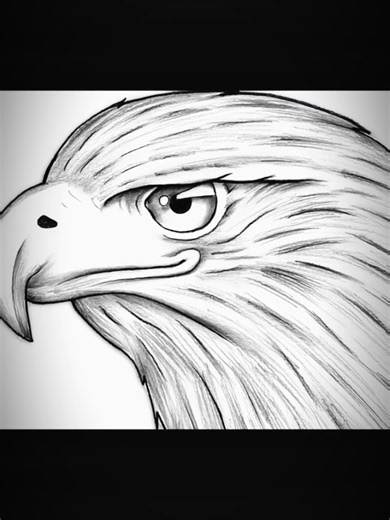 How to Draw a Eagle 🦅 sketch ✨ easy drawing step by step ✏️🎨#Arttips #USA #drawingtutorial #creativity #artcommunity