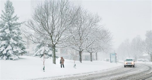 Toronto just faced its snowiest day on record. Here is how to see when your street will finally be plowed