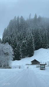 189K views · 28K reactions | Many think that all Swiss roads are always passable without hesitation. But this is not so! So plan your trip carefully! Video Sylvia Michel Photography #switzerlandtravel #switzerlandtourism #switzerland #switzerland #roadtrip #switzerland #swiss #schnee #winter | Sylvia Michel Photography | Facebook