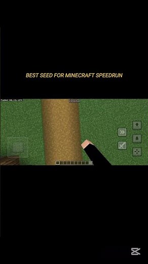 Best minecraft speedrun seed