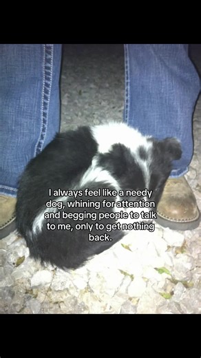 Feeling Like a Needy Puppy: Relatable Moments
